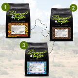 Venture to Origin - 3 Month Subscription