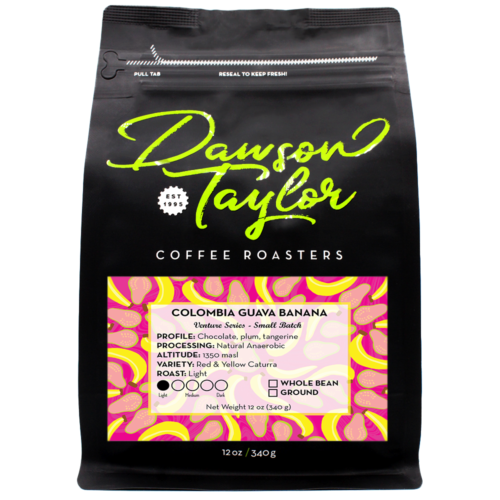 Venture to Origin - 3 Month Subscription