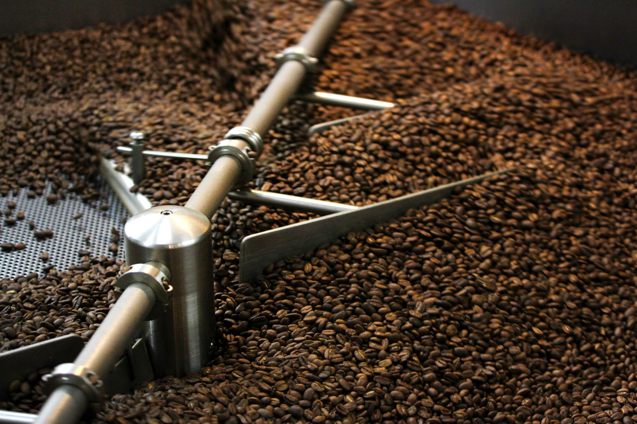 Dawson Taylor Coffee Roasters - Downtown Cafe gallery